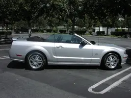 mymustang1.webp