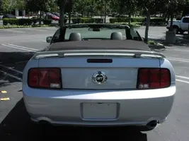 mymustang2.webp
