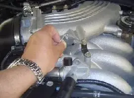 plate.webp