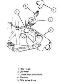 PVC Location and Parts.webp