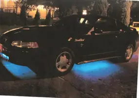 pimp.webp