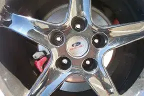 close up shot.webp