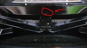 trunk (Small).webp