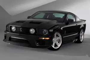 06 Cobra.webp