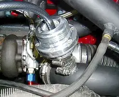 bov2.webp
