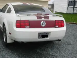mustang02.webp