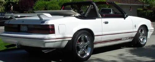 Mustang.webp