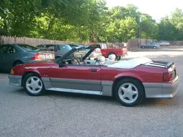 MustangLow(3).webp