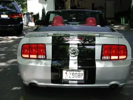 stripeback.webp