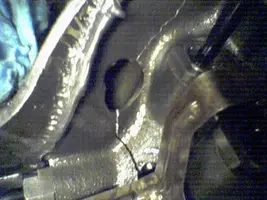 Picture005.webp