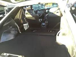 w mustang 11.webp