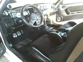 w mustang 12.webp