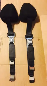 seatbelt.webp