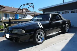 stang.webp