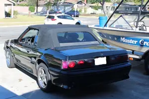 stang1.webp