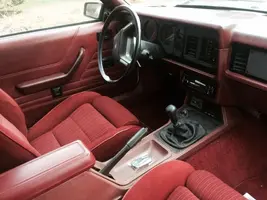 mustang6.webp