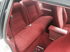 mustang7.webp