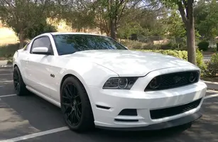 Mustang1[1].webp