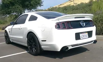 Mustang2[1].webp