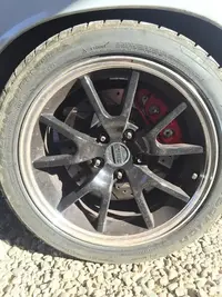 w mustang 8.webp