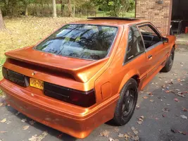 mustang1.webp