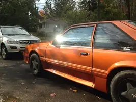 mustang2.webp