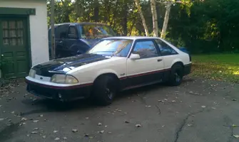 IMAG1167.webp