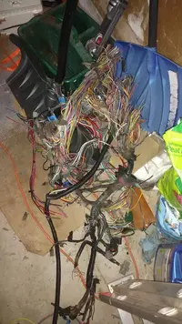 944927_10154074930509380_1415820822381478889_n.webp