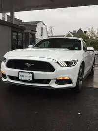 12923150_10205031993113160_1932362443836768716_n.webp