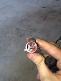 Connector Going to Grey-White Wire.webp