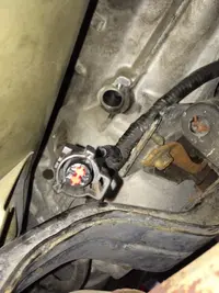 Connector on Wiring Harness.webp