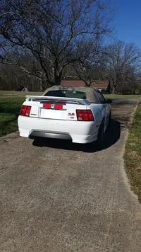 top up rear.webp