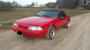 Mustang 1.webp