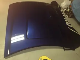 Hood.jpg Hood.jpg