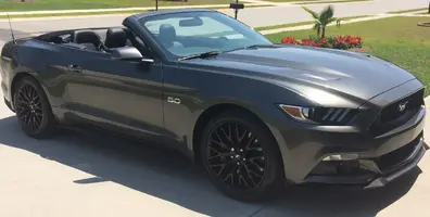 Mustang.webp