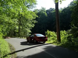 100_2102.webp