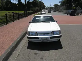Mustang Front (Ingomar).webp