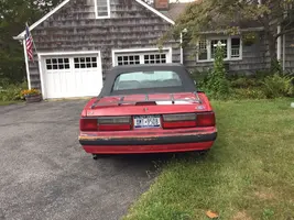Mustang3.webp