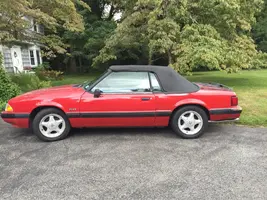 Mustang4.webp
