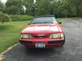 Mustang1.webp