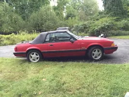 Mustang2.webp