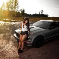 mustang.webp