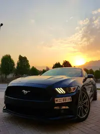 20160914_063951 copy.webp