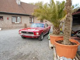ford3.webp