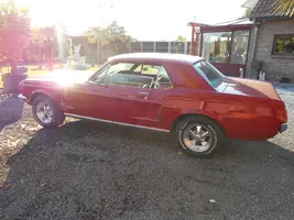 ford5 (Large).webp