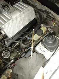 Oil Pic.webp