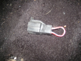 IMG_0364_001.webp
