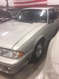 mustang2.webp