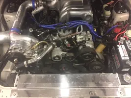 mustang4.webp