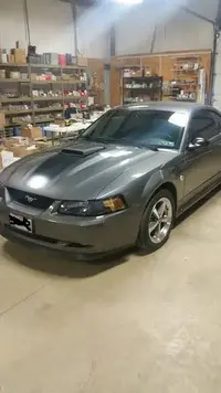mach 5.webp